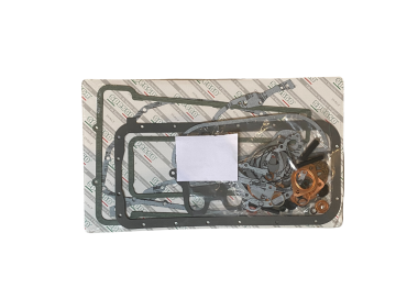 Pochette moteur 1600cc REINZ