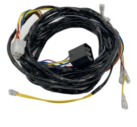 Faisceau électrique complet pour GT Veloce 2000cc