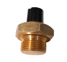 Sonde température eau Alfa Romeo Spider injection 1987-1993 - Alfetta - Montreal (située sur la culasse)