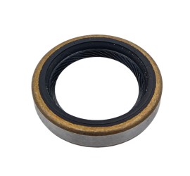 Joint spi BV antérieur...