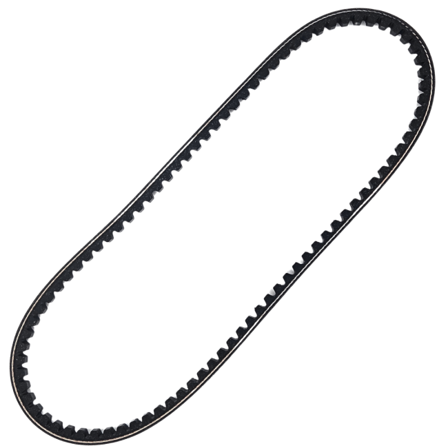 Courroie, 95x813mm pour GT Bertone, Spider & Giulia