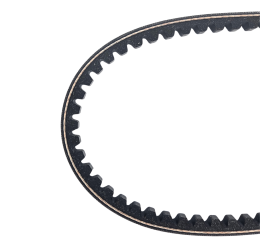 Courroie, 95x813mm pour GT Bertone, Spider & Giulia