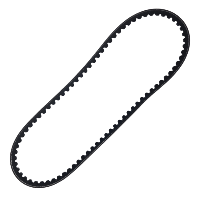 Courroie alternateur (largeur 9,5x825mm)