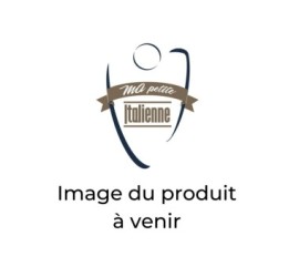 Silencieux terminal...